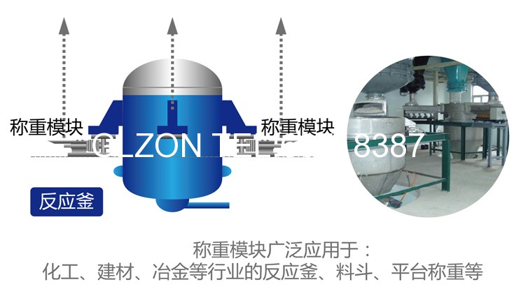 液体灌装机,称重灌装机,定量灌装机 液体灌装机,称重灌装机,定量灌装机
