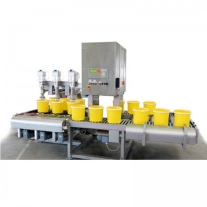 30L称重3头灌装机 DF-30T系列